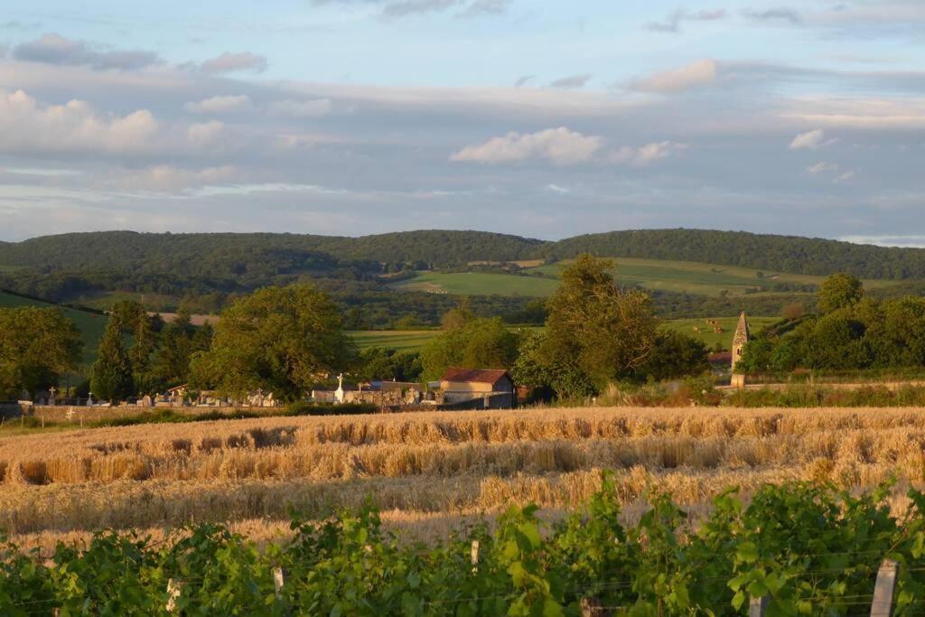 Le Coeur Du Lys Villa Chissey-les-Macon Exteriör bild